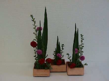 Bouquet parallele.jpg (55518 octets)